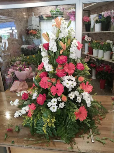 Floristeria Manolita - Denia