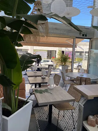 BOKA Vinos y Tapas