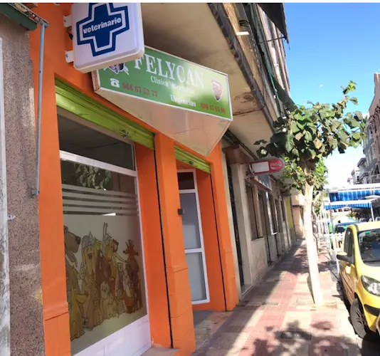 Clínica Veterinaria Felycan Campello - Campello