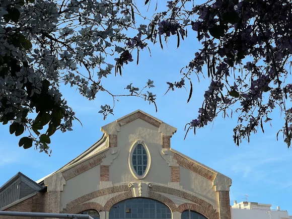 Plaza 25 de mayo