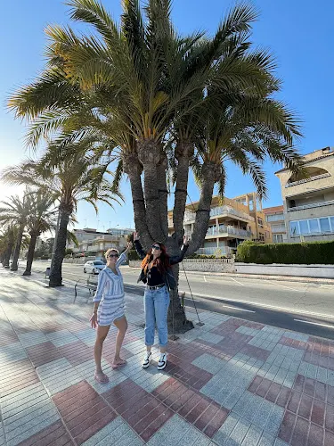 Palmera de los cinco brazos