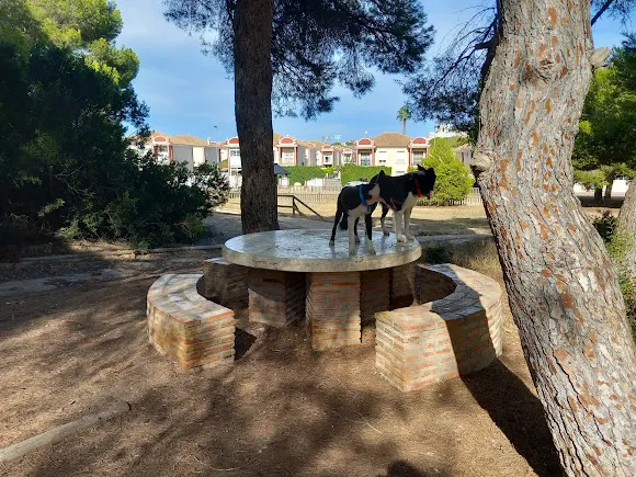 Pinada de Campoamor - Orihuela