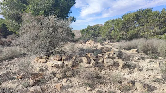 Necrópolis ibera de Cabezo Lucero