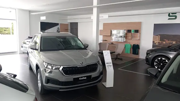 Serraimport Concesionario Oficial Škoda en Elda-Petrer - Petrer