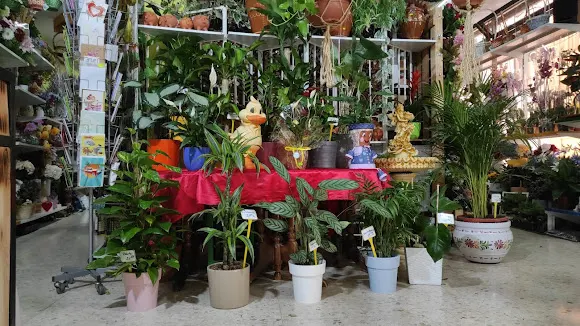 Mini Garden