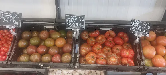 Surinver Tienda Almacén - Pilar de la Horadada