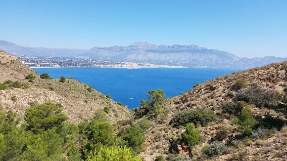 Camino del Faro