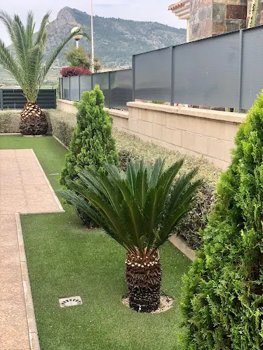 Jardinería Medina Elche - Alicante