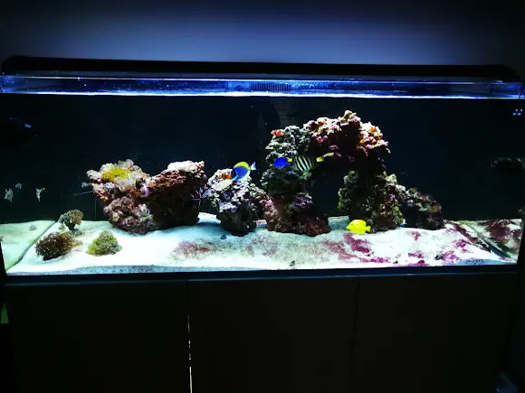 Interacuario - Alicante
