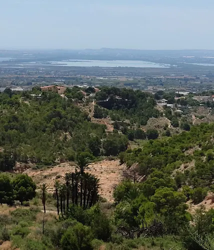 CEMA Los Molinos - Fundación Mediterráneo - Crevillent