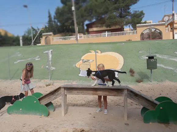 The Parkcourt for dogs - Torrevieja