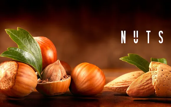 NUTS Alicante - Alicante