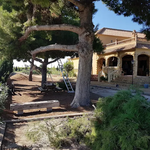 La Signatura - Elche
