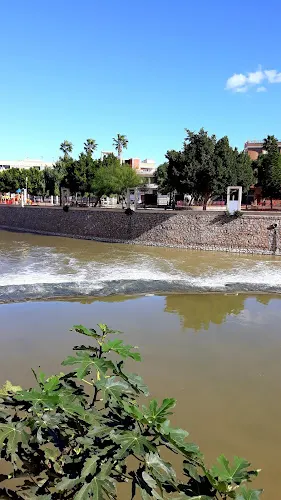 Puente de Carlos III - Rojales