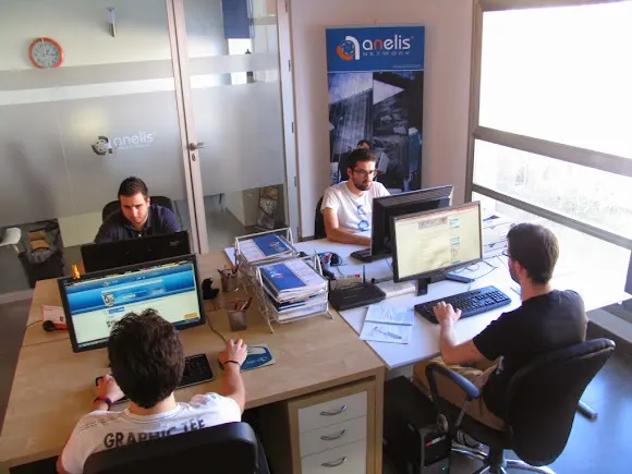 Desarrollo de Páginas Web en Alicante - Anelis Network