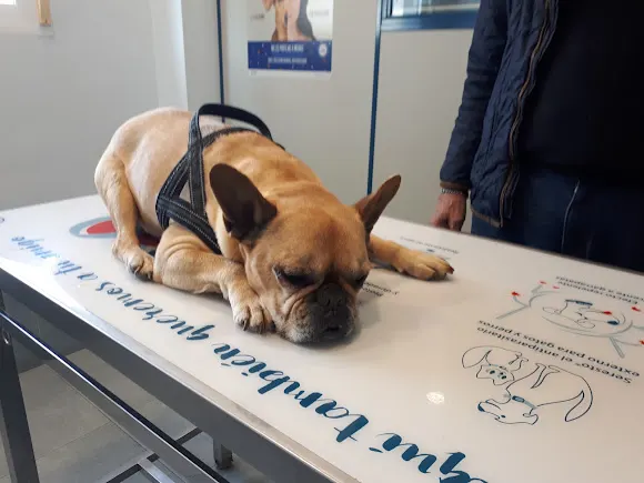Algar Clínica Veterinaria