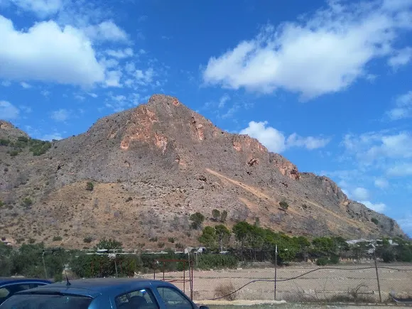 Euro-tojo, s.l - Orihuela