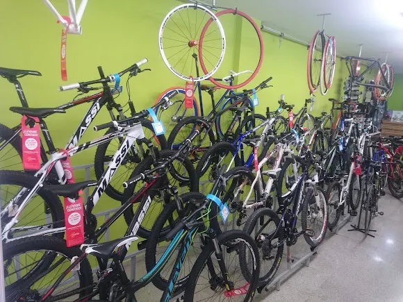 Bicicletas Galo - Elche