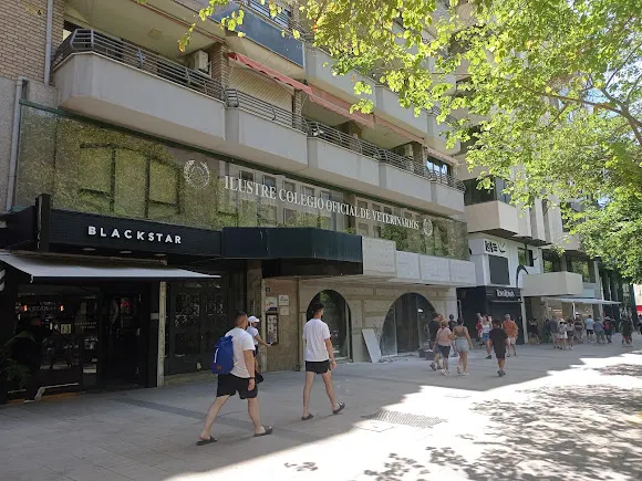 Colegio Oficial de Veterinarios de Alicante - Alicante