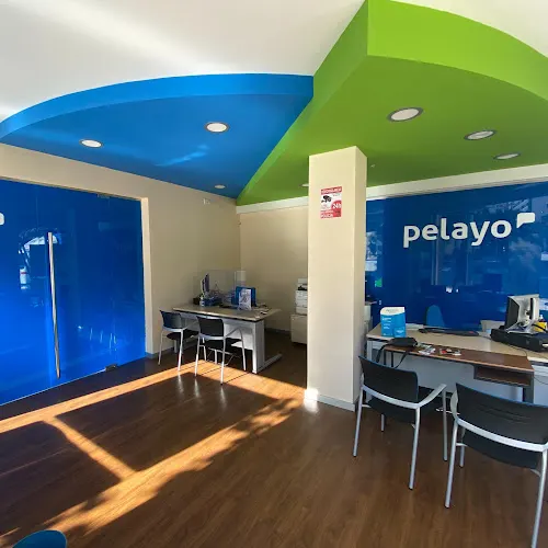Oficina Seguros Pelayo