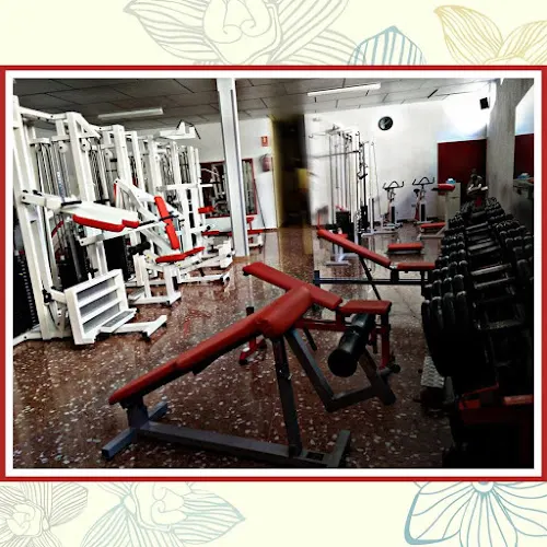Gym GarGu - Sax