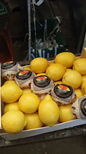 Plusfruit - Orihuela