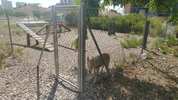Parque para perros