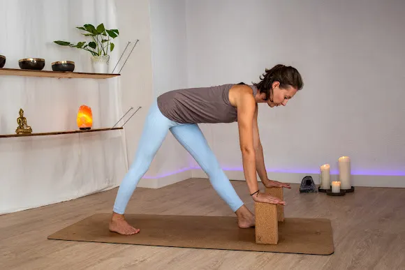 LaVi Sound & Yoga "Home Studio" - Xalo