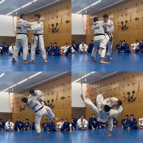 Judo Club Alicante - Alicante