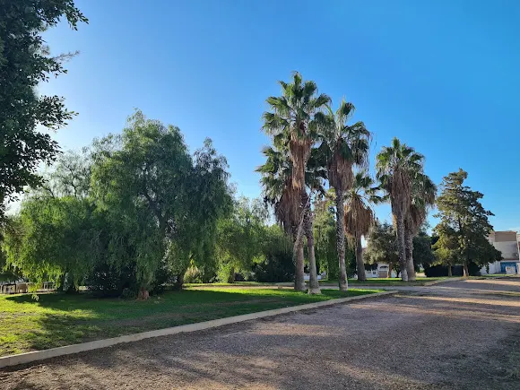 El parque con el quiosco en Altos de la Bahia - Torrevieja