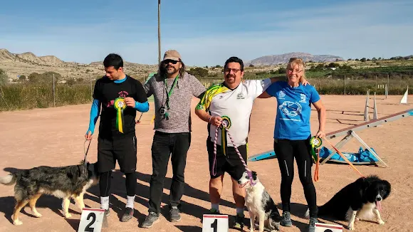 Club de Agility Costa Blanca - Elche