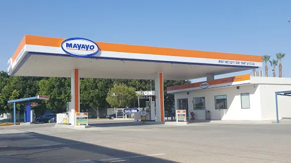 Mayayo Estación S.L.