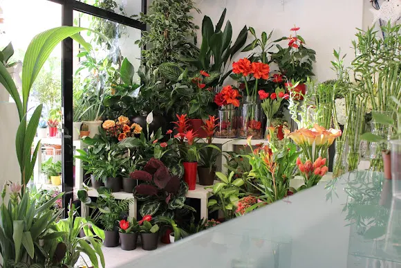 Floristería FlorArte Alicante, Bodas