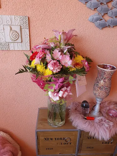 Casavieja Floristas - Benijofar