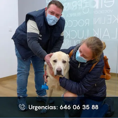 Clínica Veterinaria El Paseo en Villena - Villena