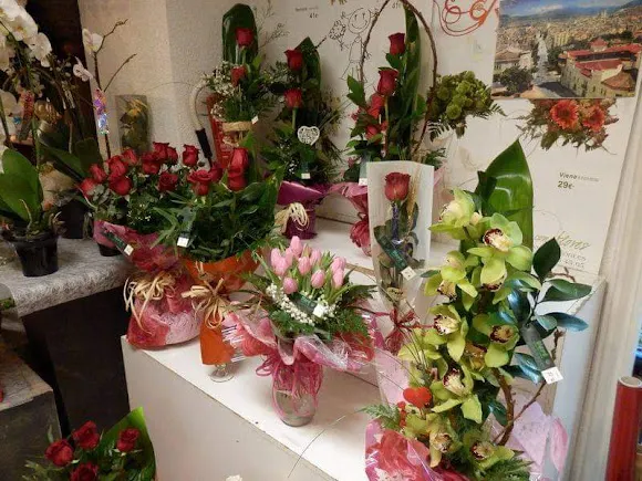 Floristeria Vert - Alcoy