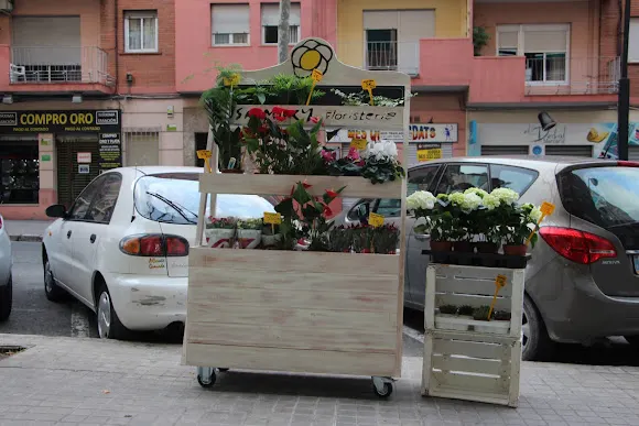 Floristería Rosa Mary - Alcoy