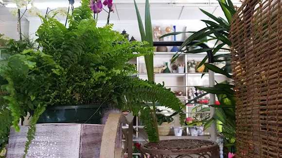 Floristería La Horticulflor - Torrevieja