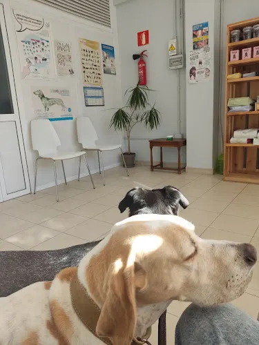 Centro Veterinario La Nao