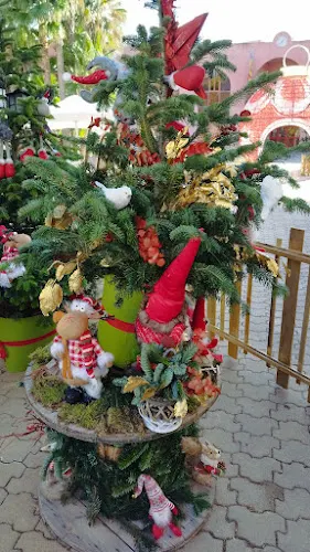 Mercado semanal - Teulada