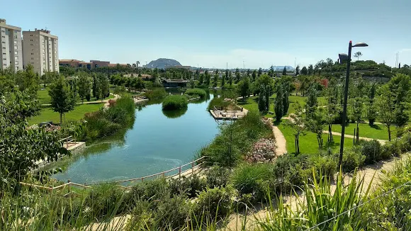 Taichikung en el parque - Pepi Iborra - Alicante
