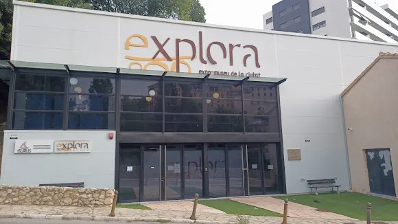 Colección Museográfica Paleontológica y de las Ciencias - Alcoy - Alcoy