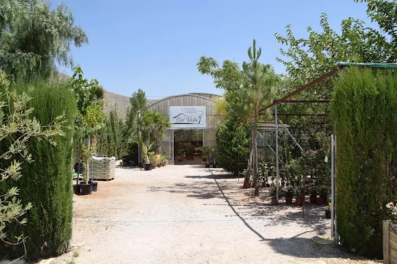 Centro de Jardinería del Valle - Centro de jardinería en Hondon de los Frailes