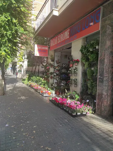 Bazar Eurome Xing Long