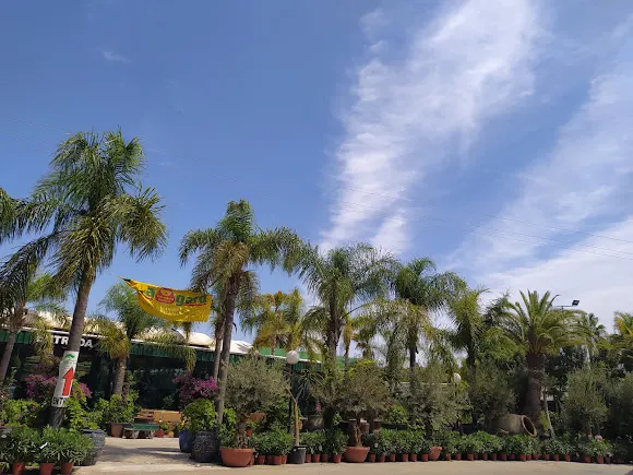 Viveros Toscal - Jávea