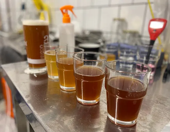 Cervecería Baixa Brewing Co. - Altea
