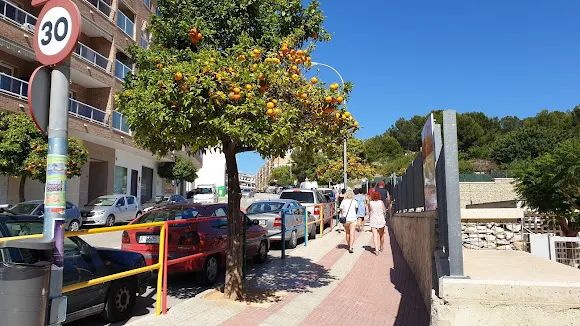 Camilo Díez - Calpe