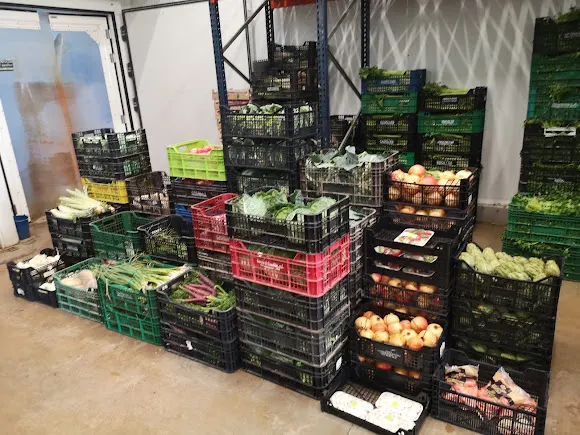 Verduras Y Hortalizas Hortovicsan