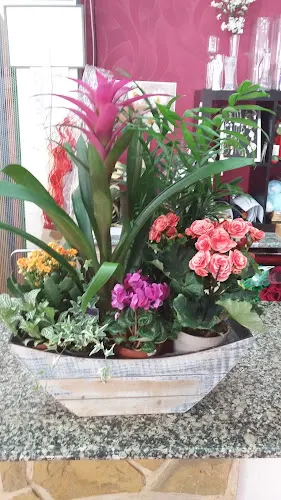 Natura Floristas - Elda