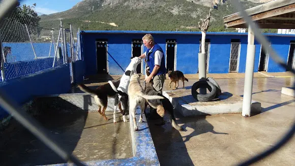 Protectora Animales La Nucia/Stichting Sphoek - Servicio de rescate de animales en Nucia (la)